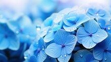  A Bunch Of Blue Flowers With Water Droplets On Them,.  Generative Ai