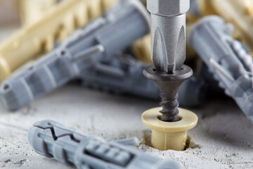 screwdriver screw and dowel in a concrete wall background