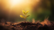 Small tree growing with sunrise. green world and earth day concept with green bokeh background, nurturing a baby plant, protect nature, Earth day concept