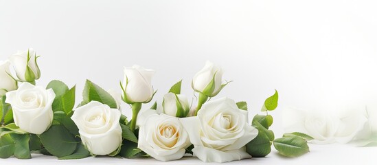 A banner for a website header design featuring a wedding bouquet of white roses on a white background with a soft focus. copy space available.