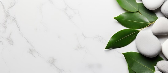 Wall Mural - White stones and green leaves placed on a marble background provide an ideal setting for body care and beauty treatments. The concept represents a spa, wellness, or massage salon, with a delicate