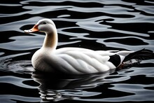 White Colored Duck Swimming In The Black Water In Wavy Form, By Generative Ai Technology