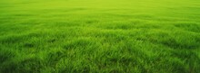 Wide Format Background Image Of Green Carpet Of Neatly Trimmed Grass. Beautiful Grass Texture On Bright Green Mowed Lawn, Field, Grassplot In Nature, Generative AI