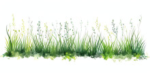 Green Watercolor Grass Blades Weeds Meadow Isolated On Transparent Background Png - Generative AI