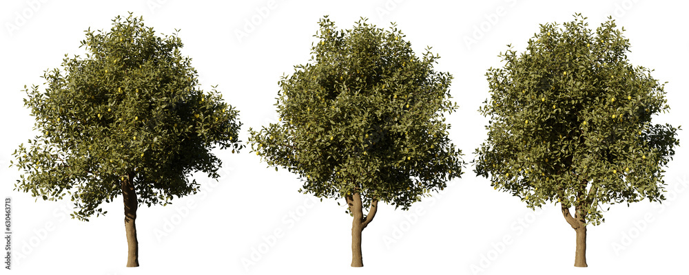 Daytime landscape tree element for 3d Architectural visualization, tree ...