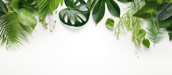 Wall Mural - natural cosmetics and a healthy lifestyle is represented by a top view image of green leaves on a white background. emphasizes natural organic skincare and bio research, with copy space available.