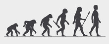 Evolution Of Man - Vector Illustration Of Human Evolving From Primate To The Modern Man