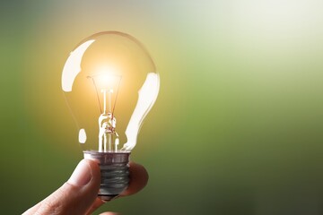 Wall Mural - hand holding classic light bulb for renewable energy.
