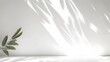 © Prasanth - Blurred shadow from leaves plants on the white wall. Minimal abstract background for product presentation. Spring and summer.