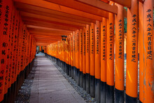 Fushimi Inari-taisha Shinto Shrine In Kyoto, Japan During Daytime