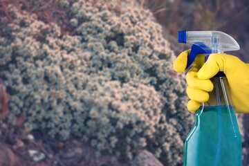 Wall Mural - Treatment of flowers from pests, hand hold bottle