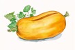 Generative AI : Watercolor illustration with butternut squash isolated on white background. Watercolor handdrawn clipart.