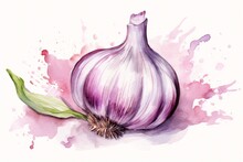 Generative AI : Watercolor Painting Of Garlic On A White Background
