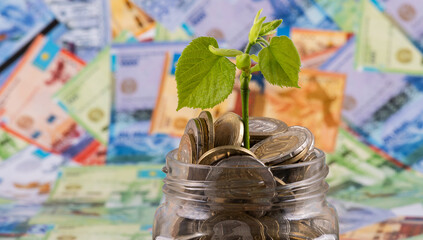 A young sprout with green leaves in a glass jar with coins in denominations of 100 and 200 Kazakh tenge against the background of Kazakh banknotes