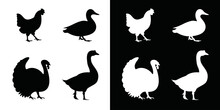 Logo Template Of Chicken Farm, Turkey Farm, Duck Farm, Goose Farm. Goose, Duck, Turkey, Chicken Symbol In Black And White Colors.