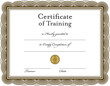 Digital png illustration of certificate of training text on transparent background