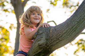 Sticker - 8 years old boy climbing high tree in the park. Overcoming the fear of heights. Happy childhood. Kid trying to climbing on the tree.