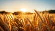 wheat field at sunset, Generative AI
