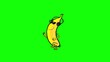 Cartoon character yellow single bananas with headphones greenbox. Fruit walking on green screen background isolated. Seamless loop animation fun. Holidays, party, music, intro, celebrating.
