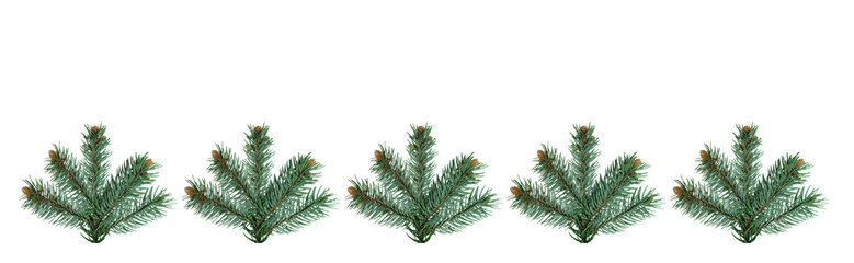 Canvas Print - Christmas and New Year banner with five green branches of a Christmas tree on a isolated transparent png  background with space for text. Holiday and happiness.