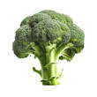 broccoli isolated on white background, created with generative ai 
