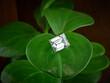 Baguette-Cut Diamond. Lab Grown Ethical Diamond on Green Leaf Background. 