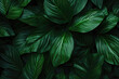 Pattern Green Tropical Forest, Leaves Closeup. Generative AI