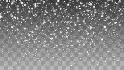 Poster - Falling Snow Overlay Background. Snowfall Winter Christmas Background. Vector Illustration.