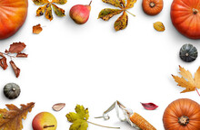A Collection Of Pumpkins, Fruits, Dried Leaves And Corn Cobs Forming A Border, Frame, Layout Isolated Against A Transparent Background For Thanksgiving Fall And Harvest Festivals.