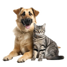 Happy Dog And Cat Isolated On Transparent Background