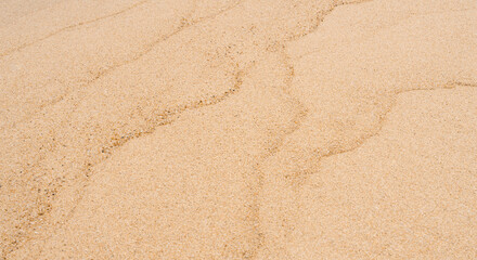 Wall Mural - Sand Beach Texture Background in Summer, Top view Brown Sandy Rough Surface with Wave Ripple of Sea Water with copy space for Summer banner design,Natural Sand Stone by the Sea