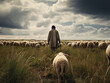 A shot of a shepherd from behind herding sheep in a grassy field under a cloudy sky.