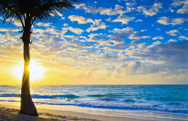 Wall Mural - beautiful sunset above the sea