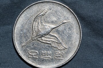 Close-up of a South Korean coin on a gray background.