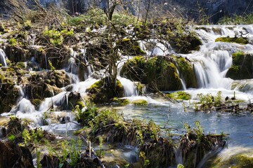 Sticker - Scenic view of a natural river in Plitvice National Park, Croatia