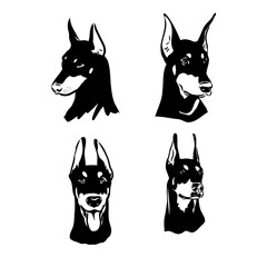 Wall Mural - Vector illustration of cute doberman cartoon