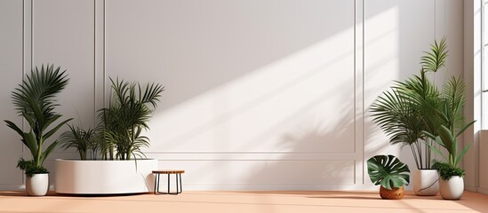Aufkleber - A product presentation can be done in a studio with a white background that is free from any distractions. The room is empty but has shadows of windows, flowers, and palm leaves, creating a visually