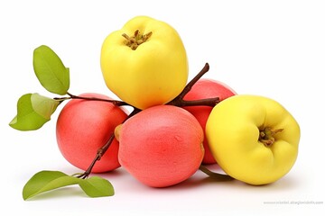 Poster - quince isolated on white background.