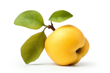 Poster - quince isolated on white background.