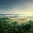 © Graphic Dude - Morning sunshine Rainforest, Valley of plants, beautiful jungle, Amazon forest
