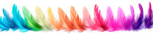 Multicolor Feathers On A Row Over Isolated Transparent Background