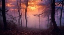Mysterious Dark Forest With Fog And Sunbeams.