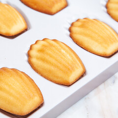 Wall Mural - Classic French Madeleines, mini sponge cake baked in scallop mold