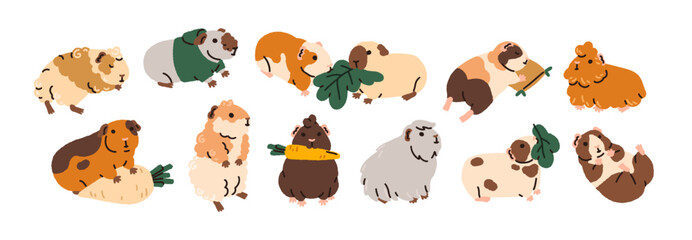 Poster - Cute funny guinea pigs set. Adorable baby animals, little rodents. Kawaii small pets. Comic amusing cuddly cavies eating, sleeping. Childish flat vector illustrations isolated on white background