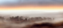 Illustrazione Di Panorama Co Landa Desolata, Boschi E Foreste Avvolti Da Una Fitta Nebbia, Alba, Tramonto