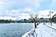 日本の冬の公園