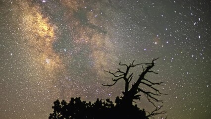 Poster - milky way timelapse over nature silhouettes.