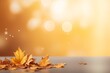 © paranoic_fb - Fall background. Fall vibes.