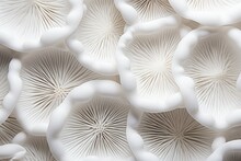 White Macro Mushrooms Plant. Generate Ai