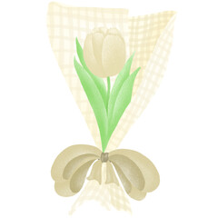 Wall Mural - White Tulip